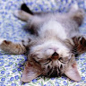 Meet your Posher, Jayde